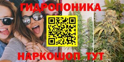 прущие грибы Краснокаменск
