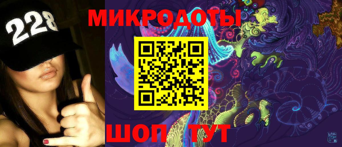 Псилоцибиновые грибы Psilocybe  Галлюциногенные грибы MAGIC MUSHROOMS  Карталы  Вход с VPN 