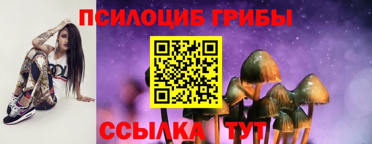 Псилоцибиновые грибы мухоморы Карталы